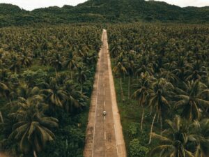 Amet, tempore, illum.